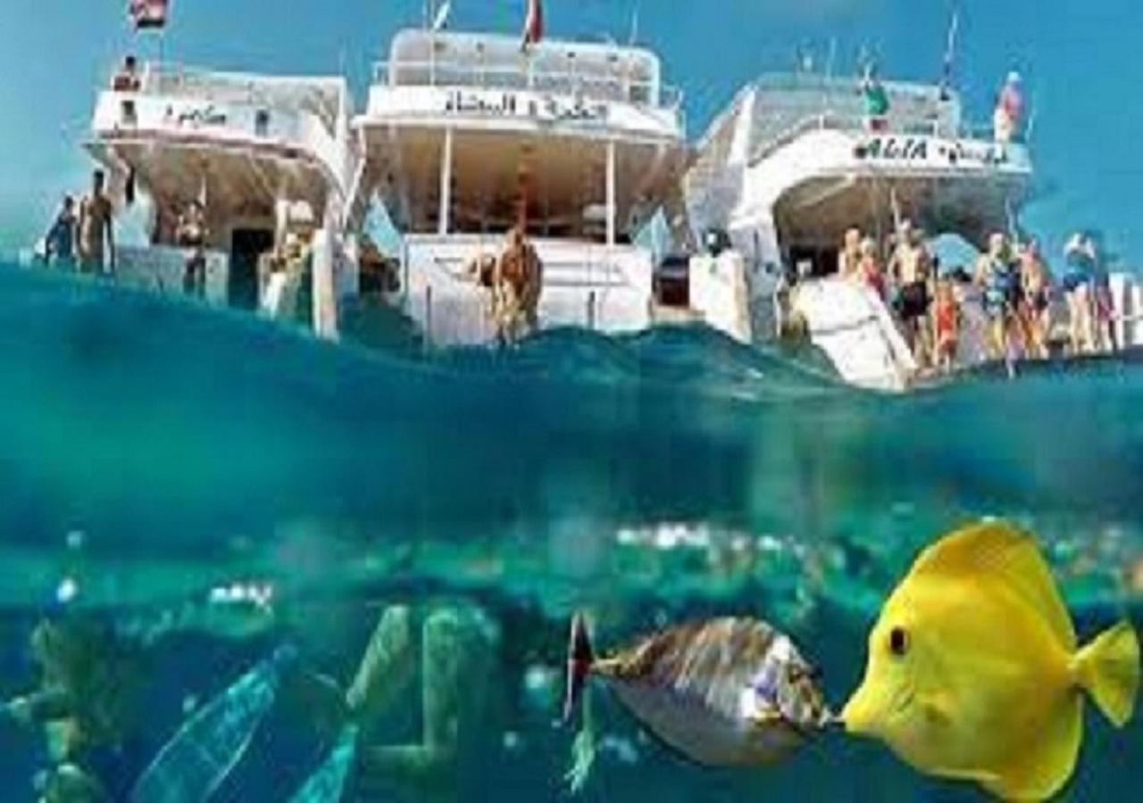 Joynant-Gouna Kite Road-2Room Mangroovy Free Beach Access - Pool View- Hurghada Ngoại thất bức ảnh